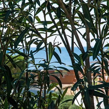 Le Bianche Con Patio Privato A Un Passo Dal Mare Apartment *