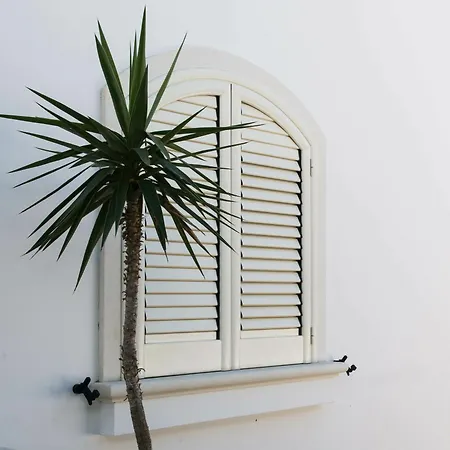 Le Bianche Con Patio Privato A Un Passo Dal Mare Apartment